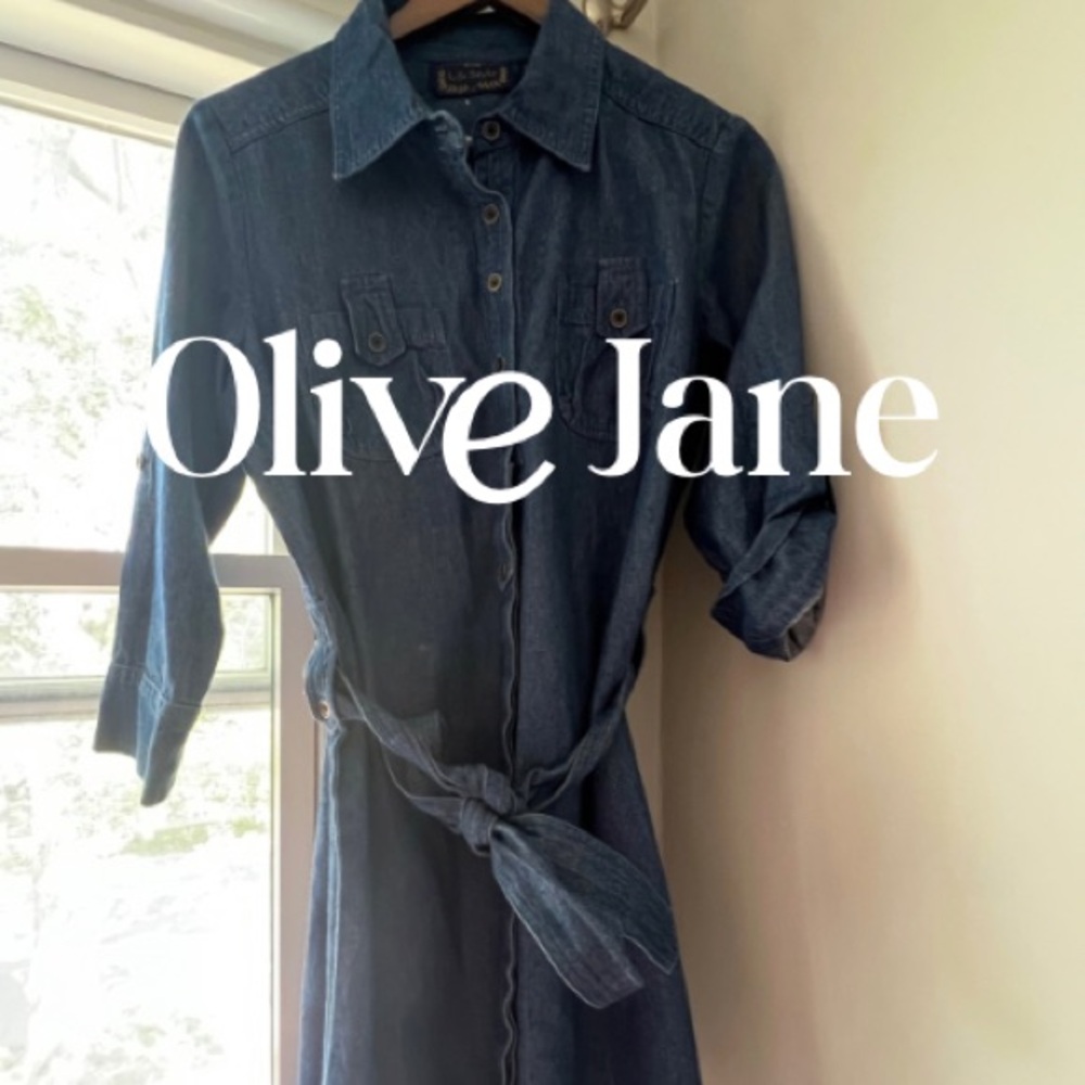 Vintage LifeStyle Denim Shirt Dress NWT!